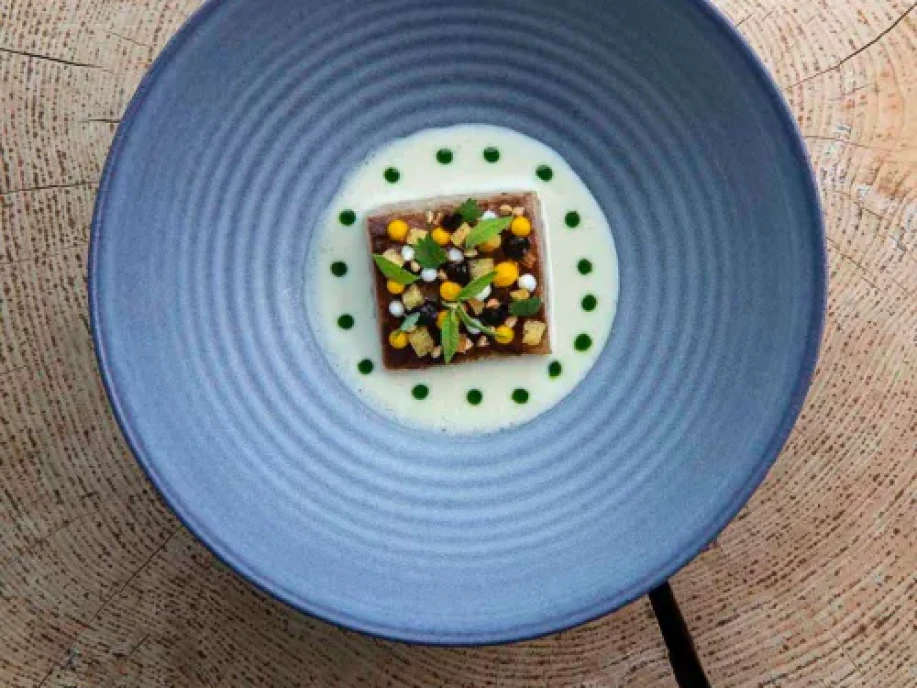 ETRN168-Terra - The Magic Place