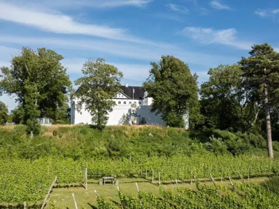 ETRR596-Dragsholm Slot Gourmet