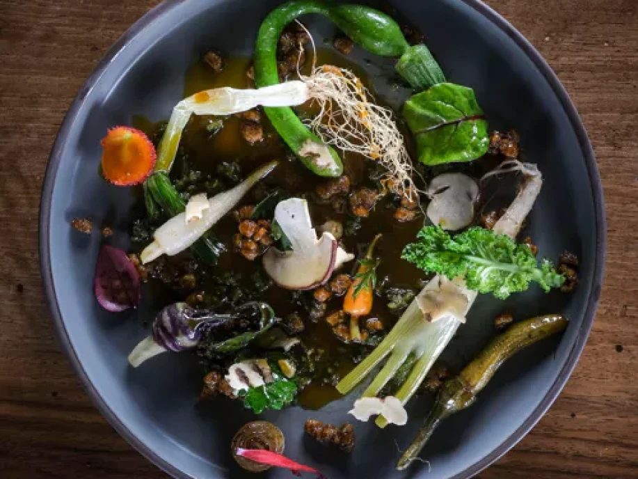 ETRN163-Campo del Drago